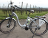 E-Bike Kaiserstuhl